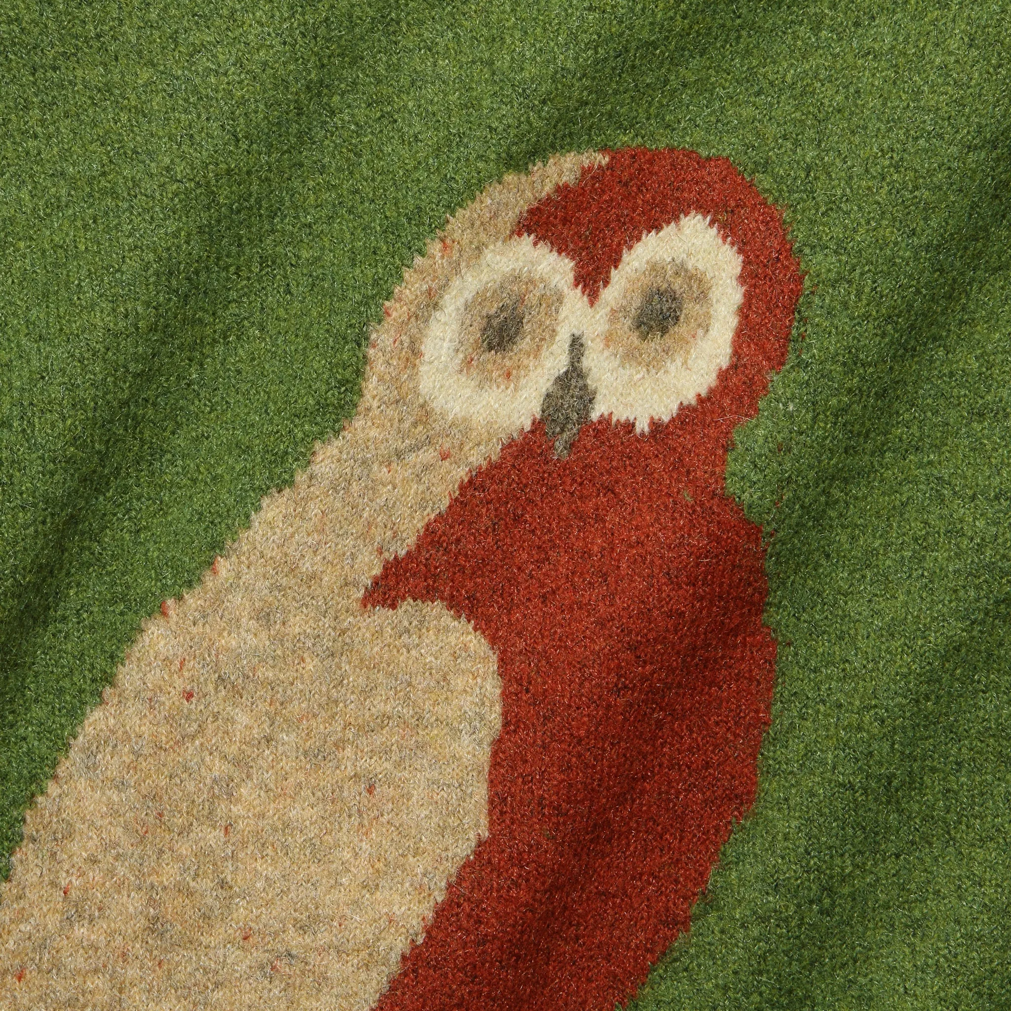 Owl Intarsia Sweater - Green