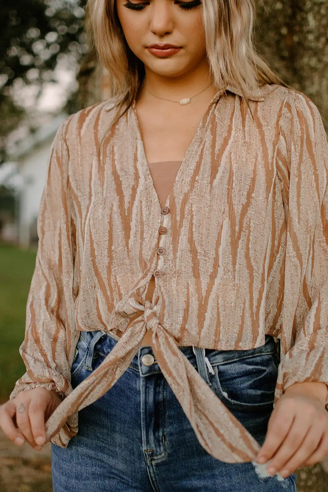 Taupe Collared Blouse